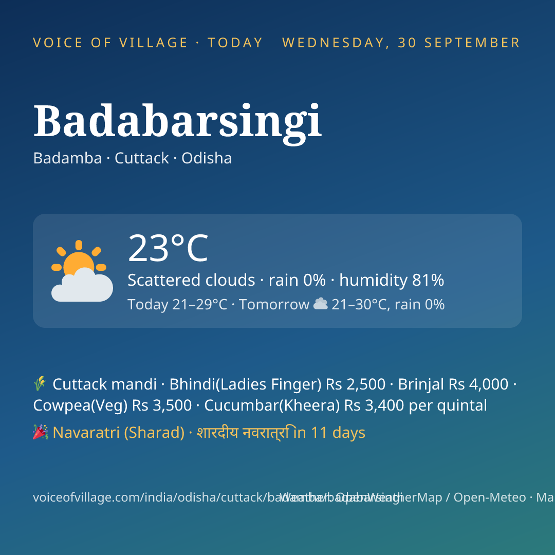 Badabarsingi today