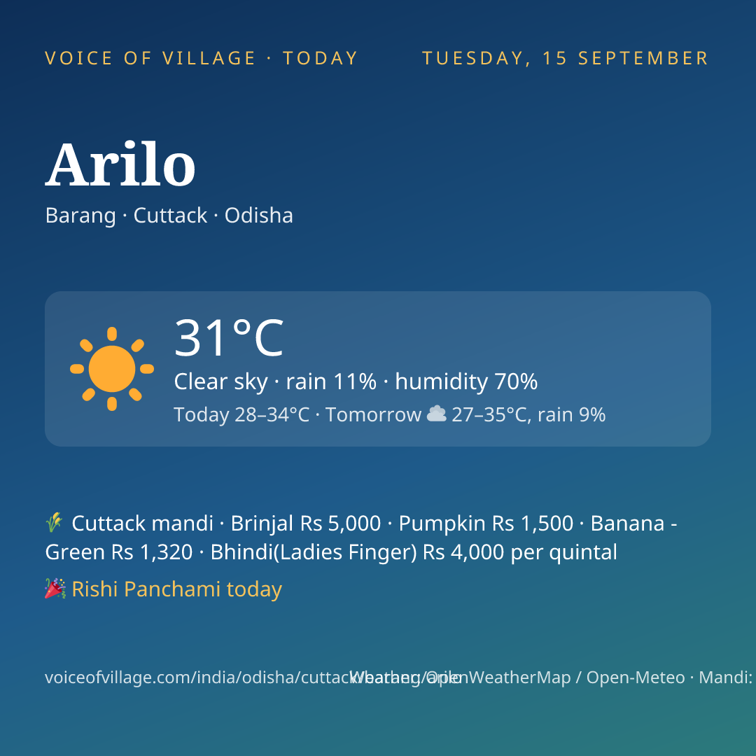 Arilo today