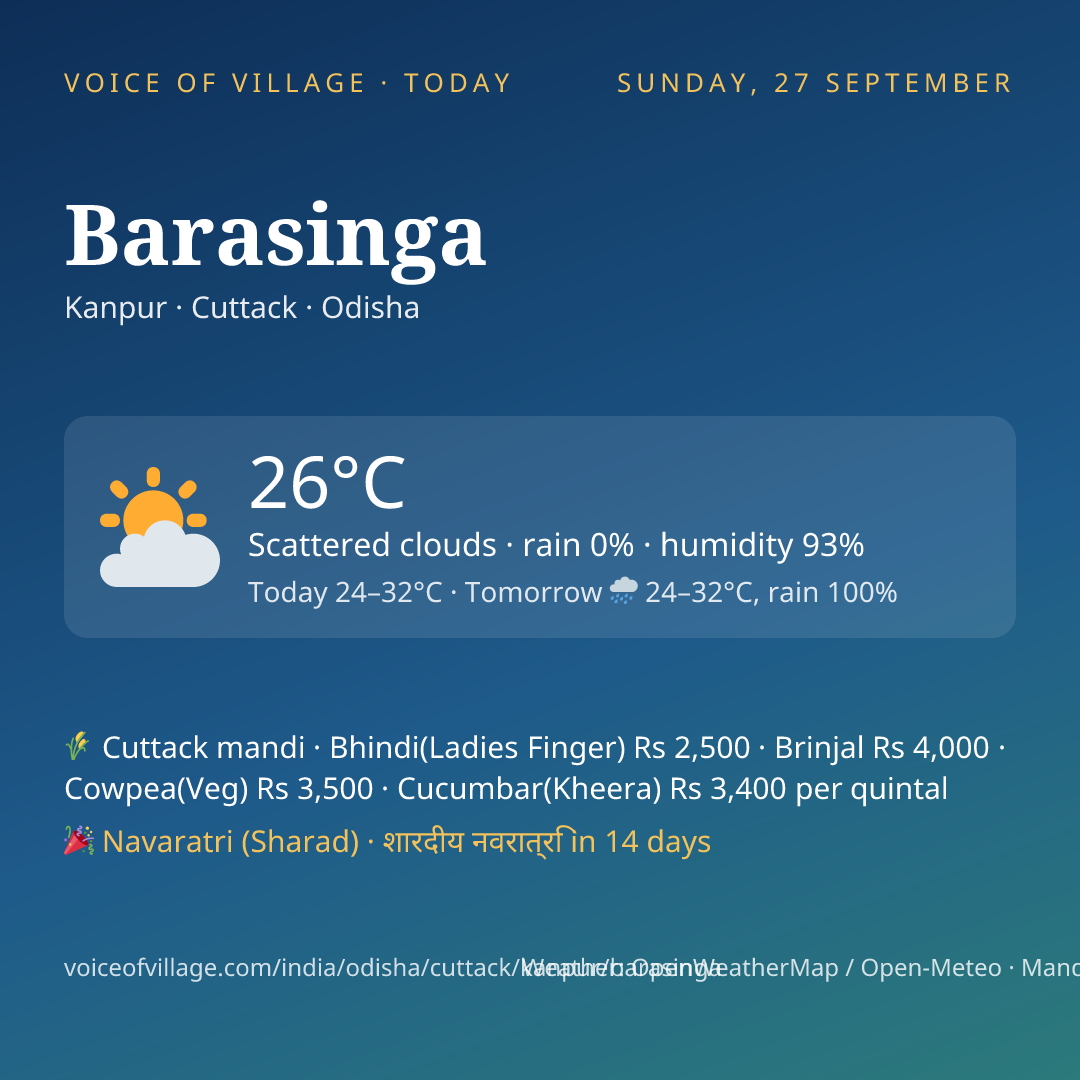 Barasinga today