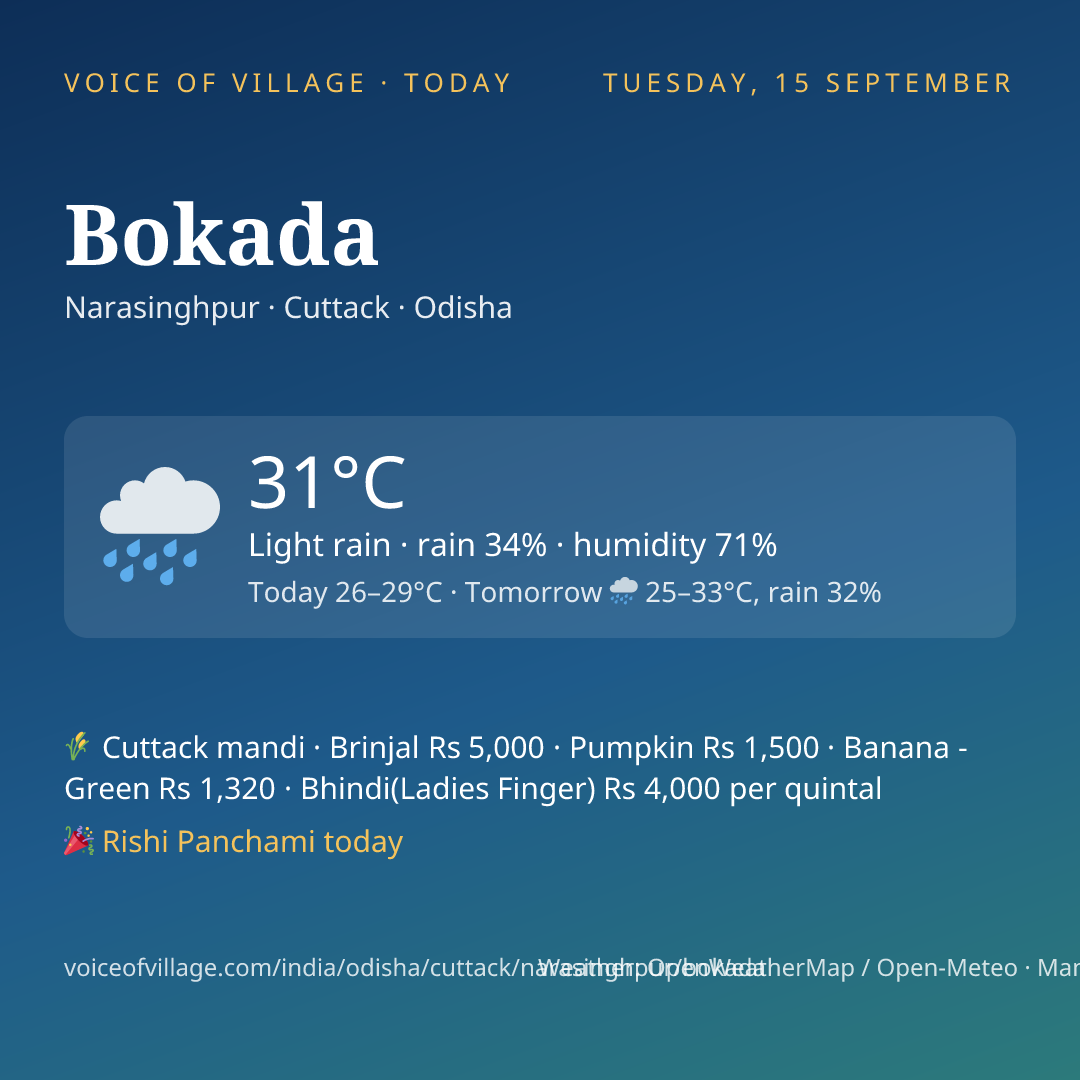 Bokada today