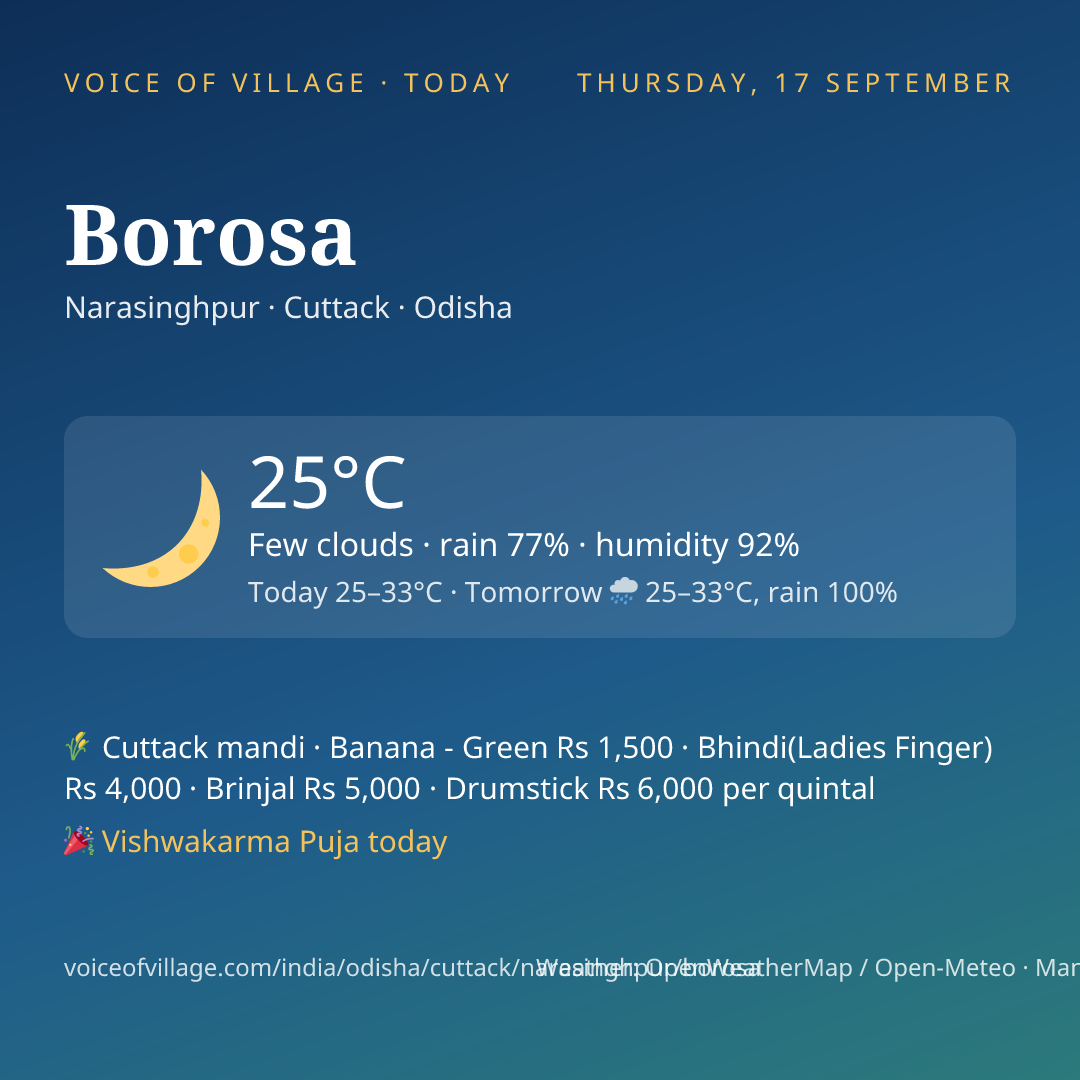 Borosa today