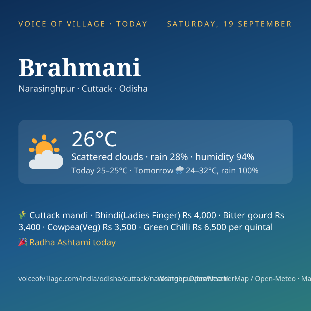 Brahmani today