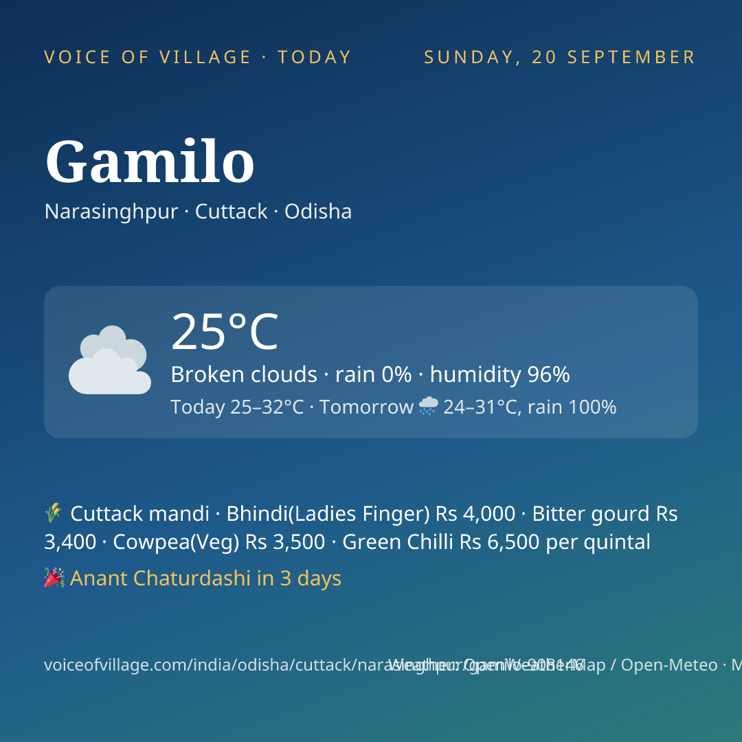 Gamilo today