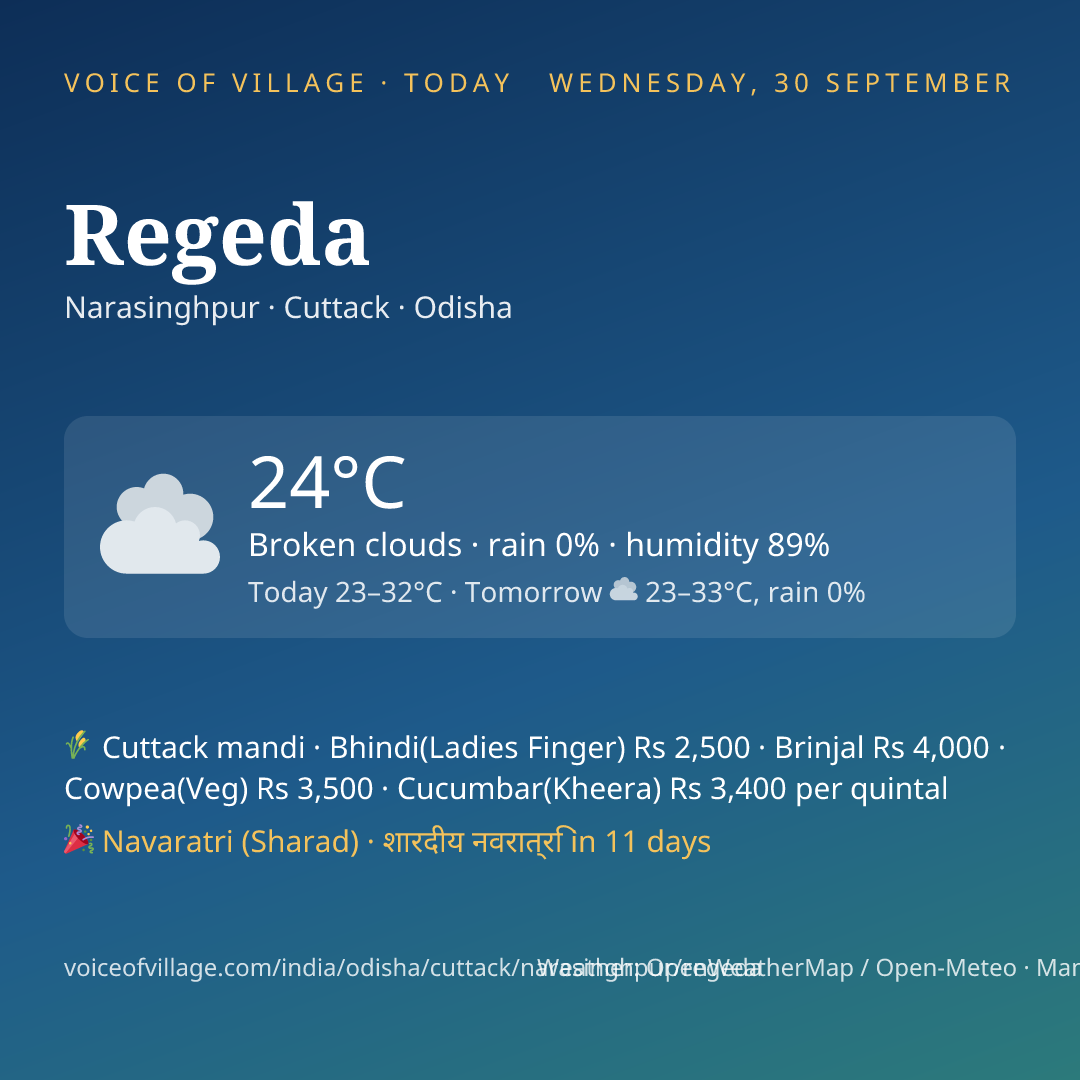 Regeda today