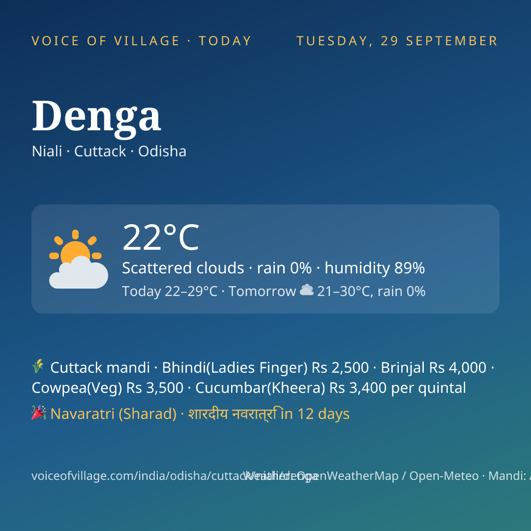 Denga today