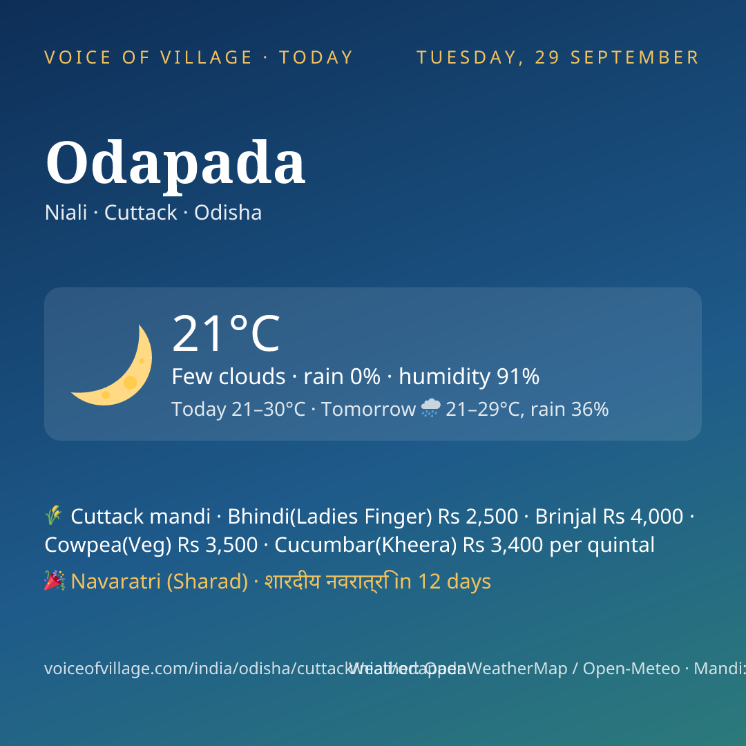 Odapada today