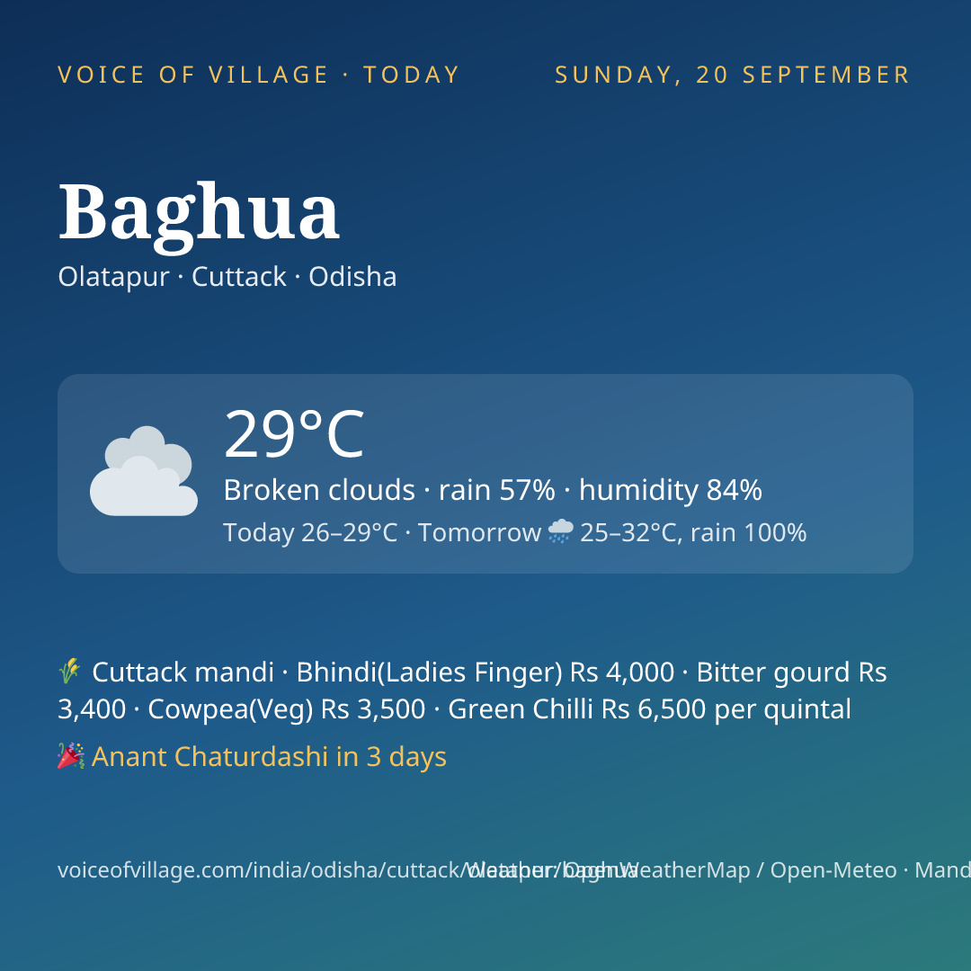 Baghua today