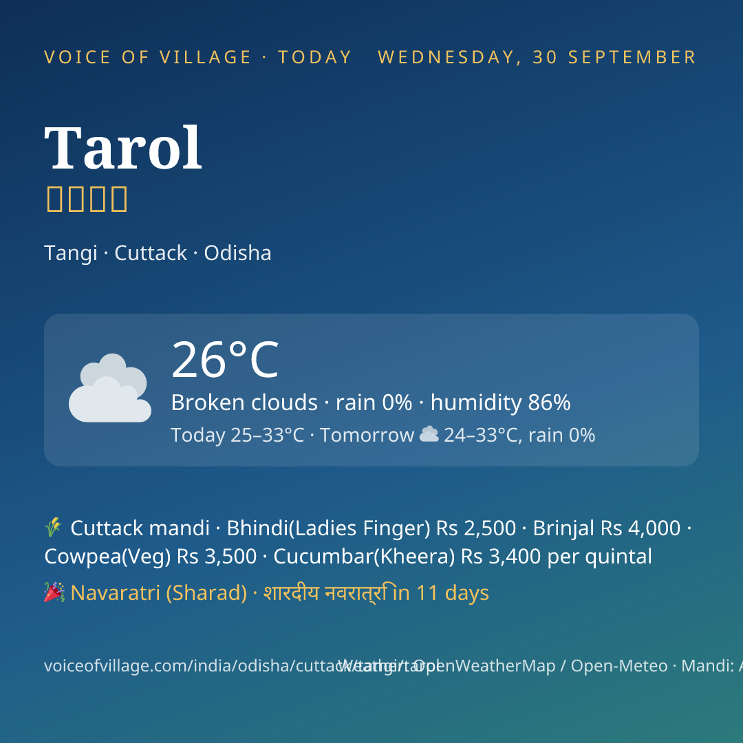Tarol today