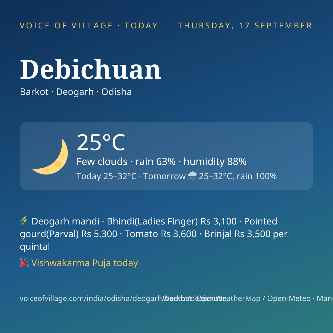 Debichuan today