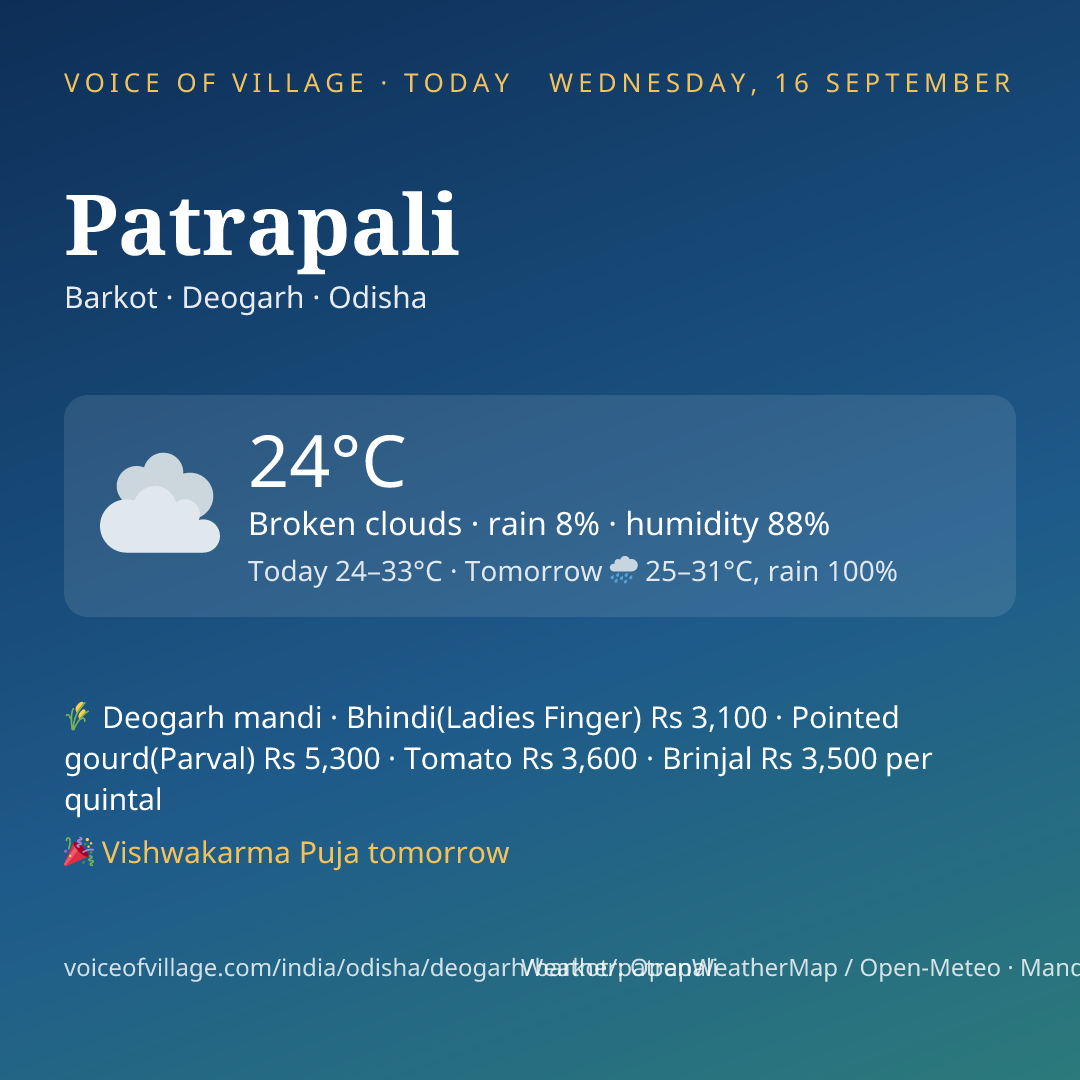 Patrapali today