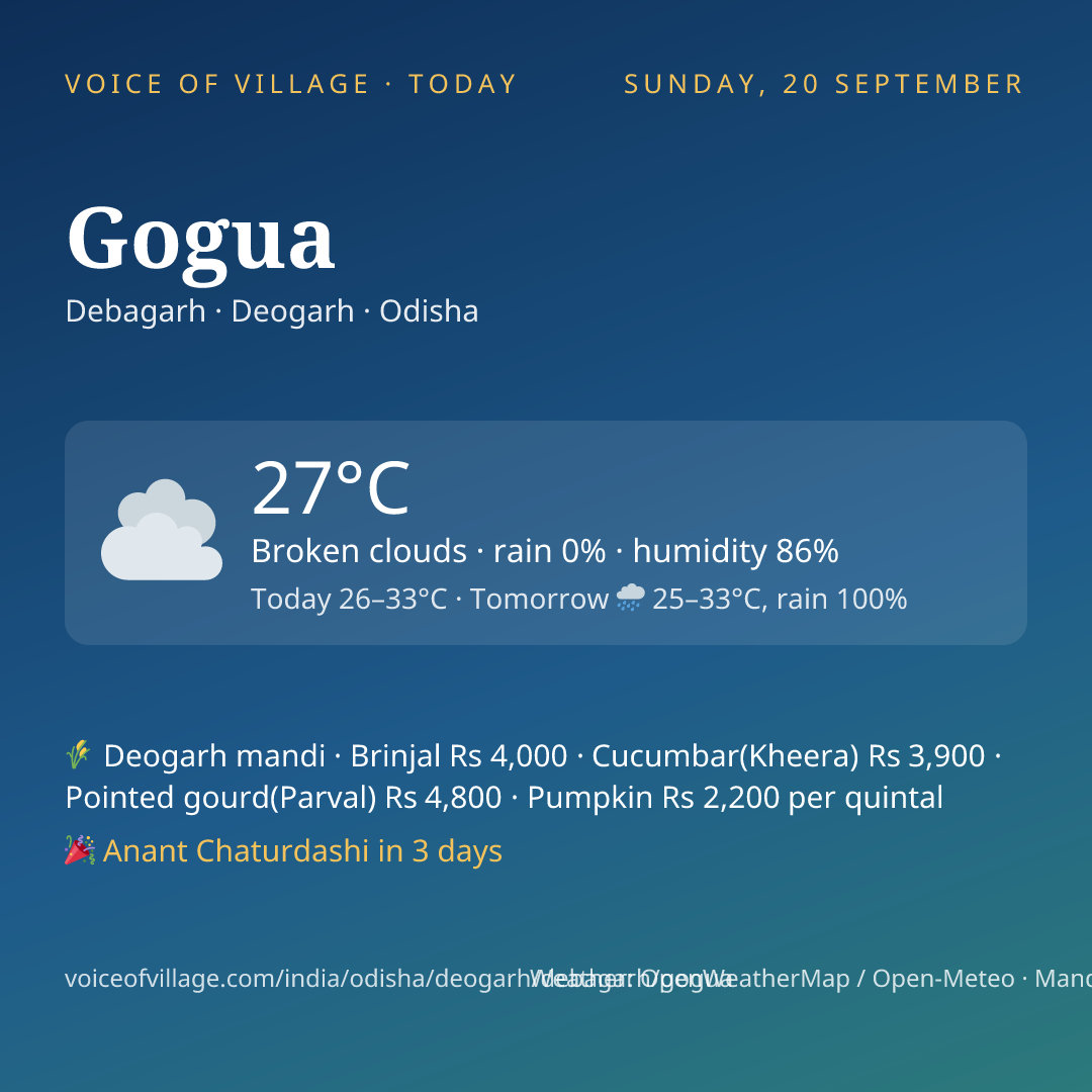 Gogua today