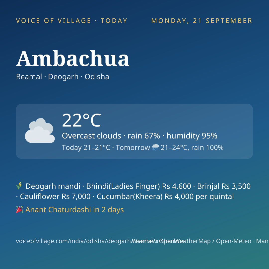 Ambachua today