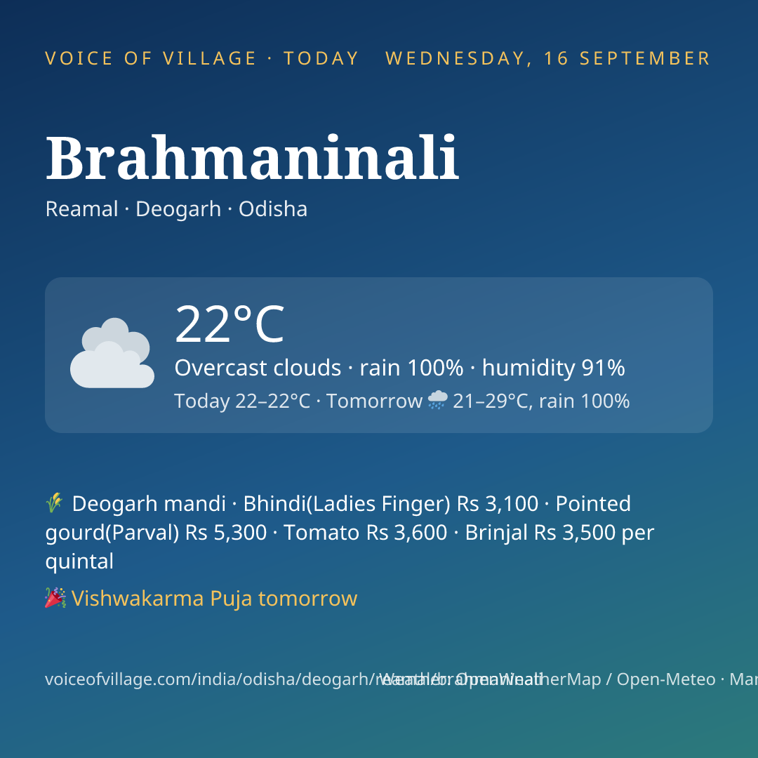 Brahmaninali today