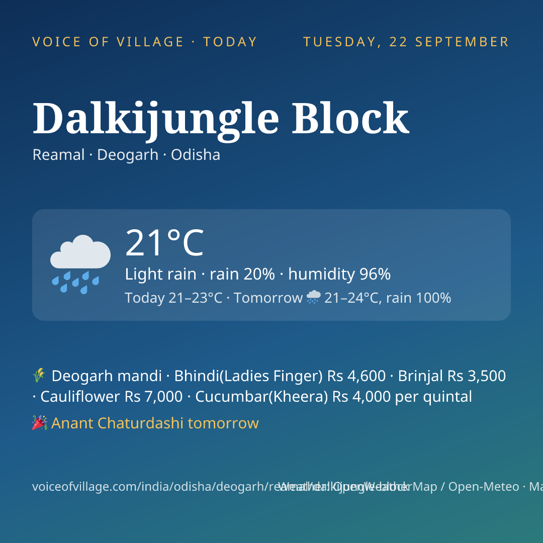 Dalkijungle Block today