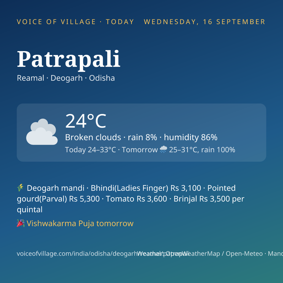 Patrapali today