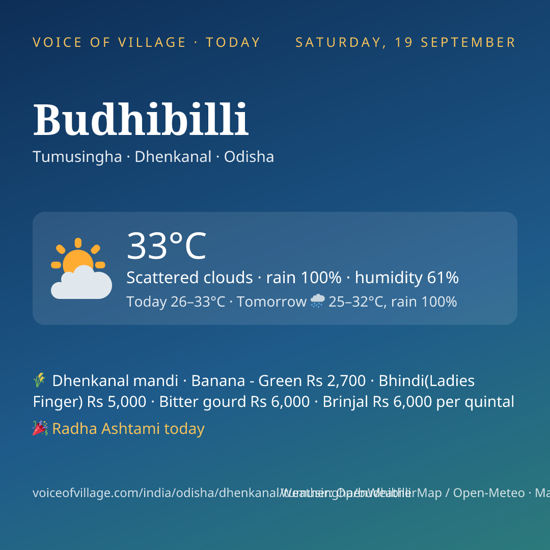 Budhibilli today