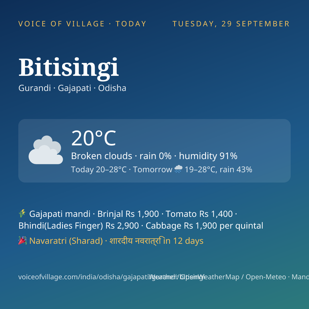 Bitisingi today