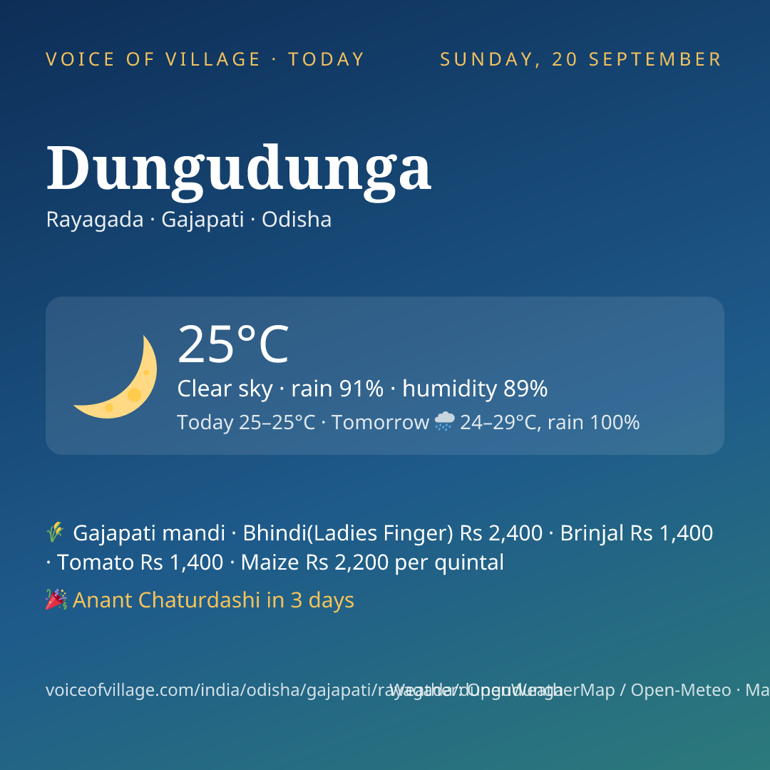 Dungudunga today
