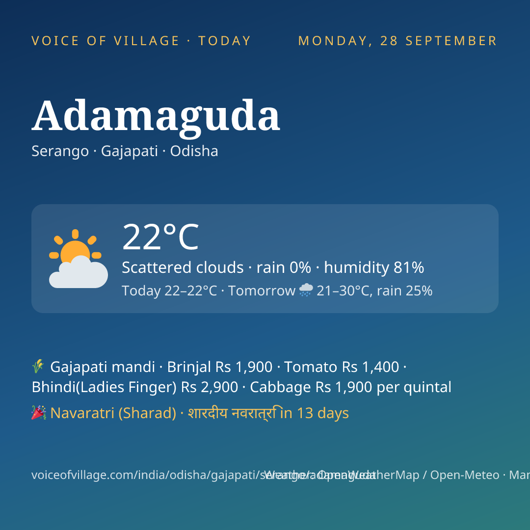 Adamaguda today