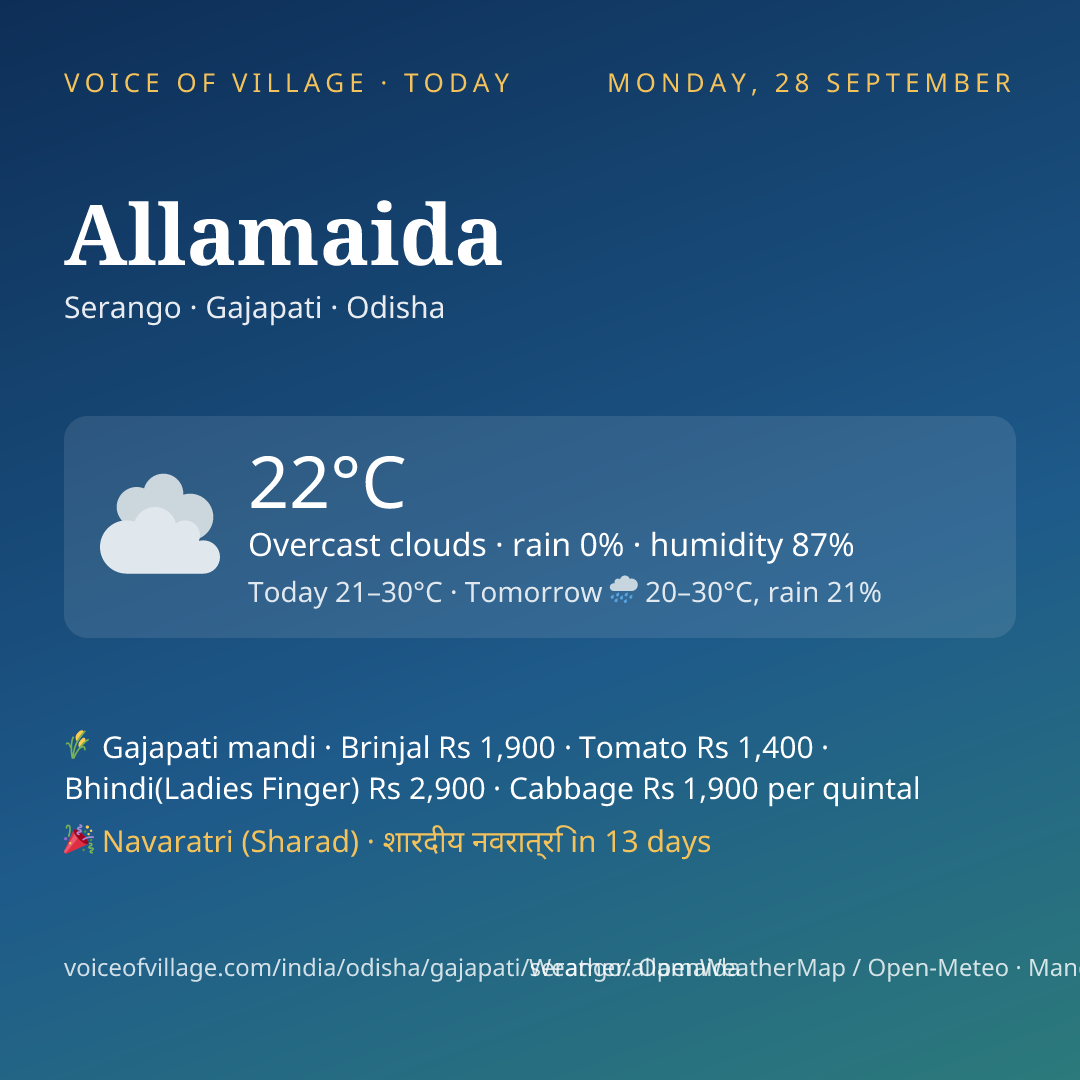 Allamaida today