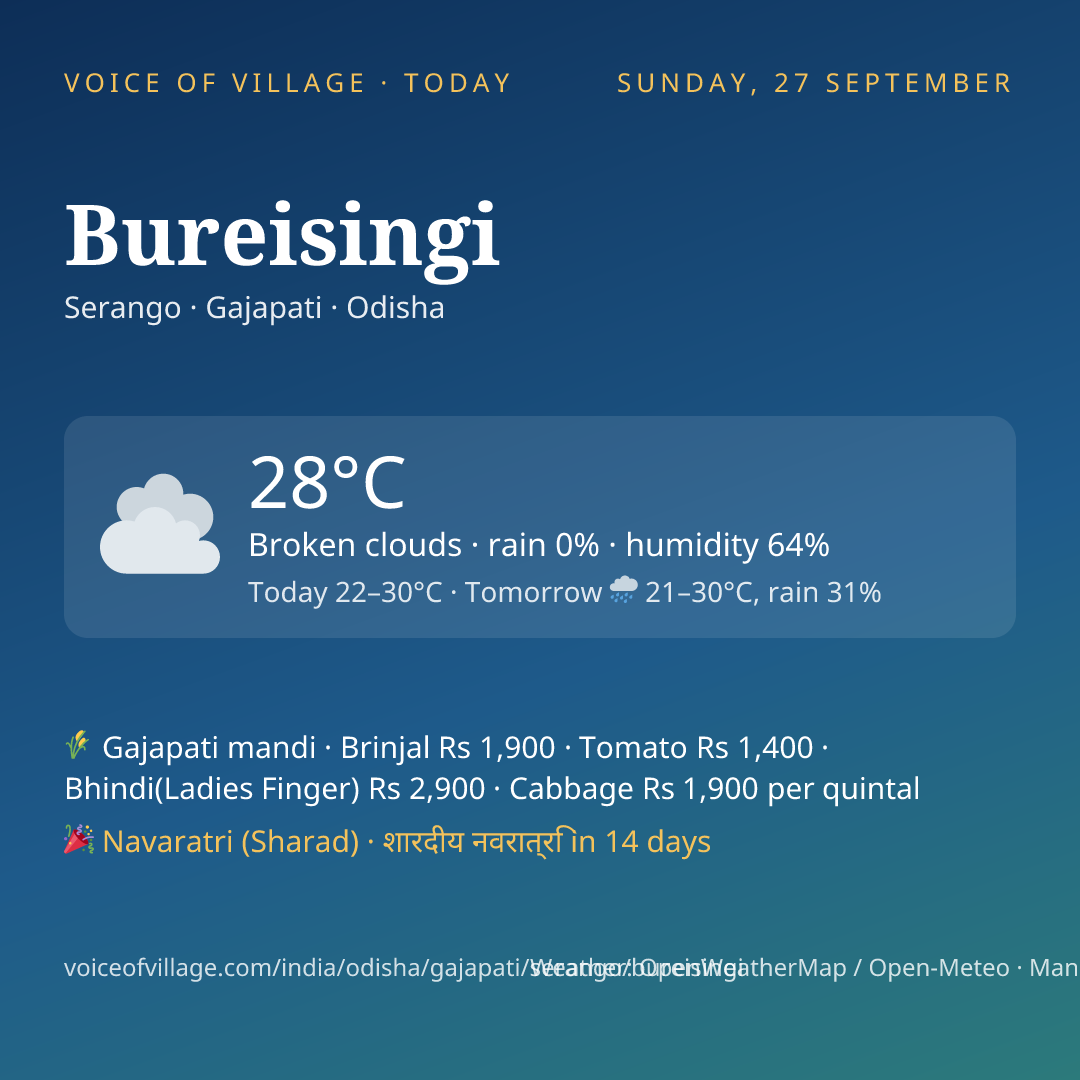 Bureisingi today