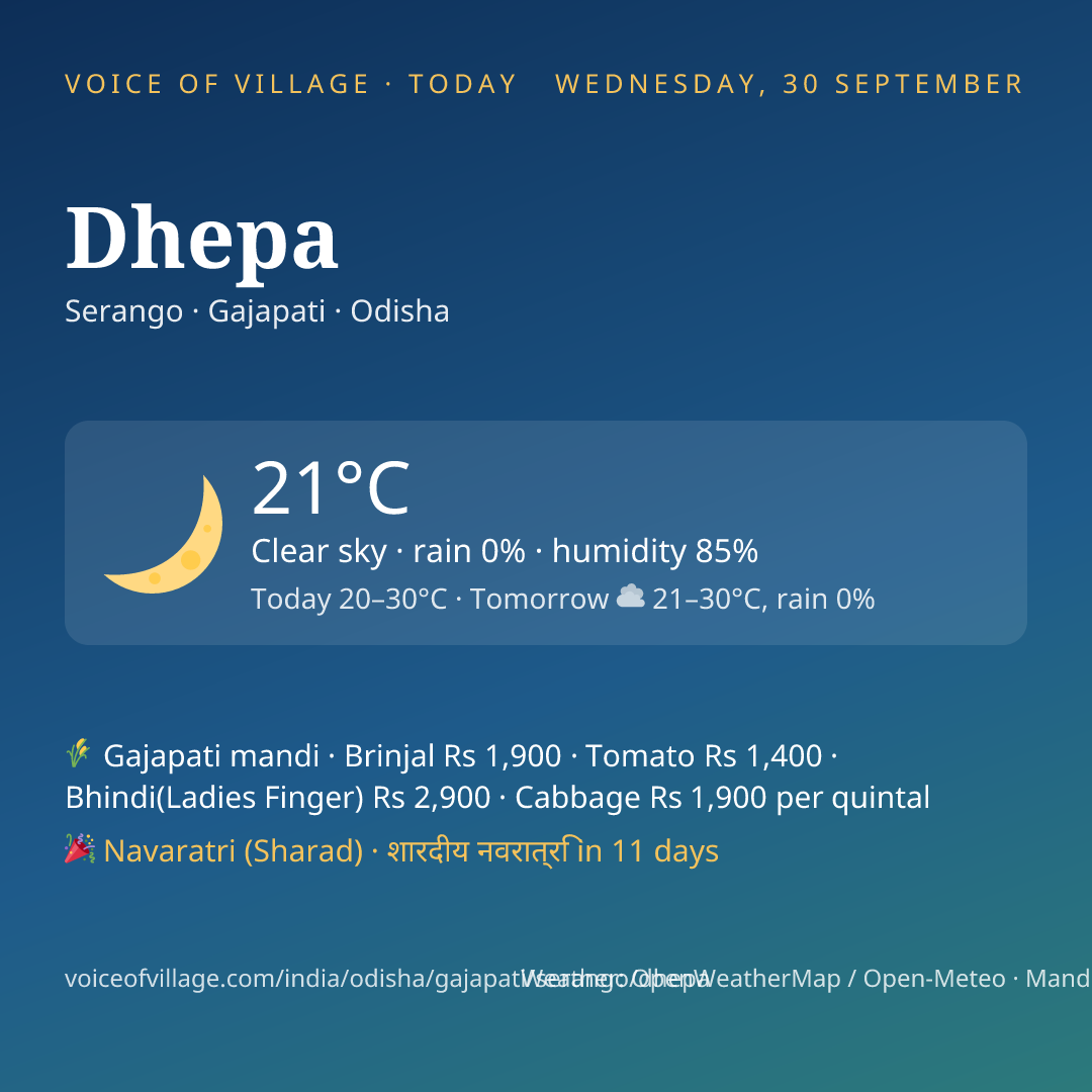 Dhepa today