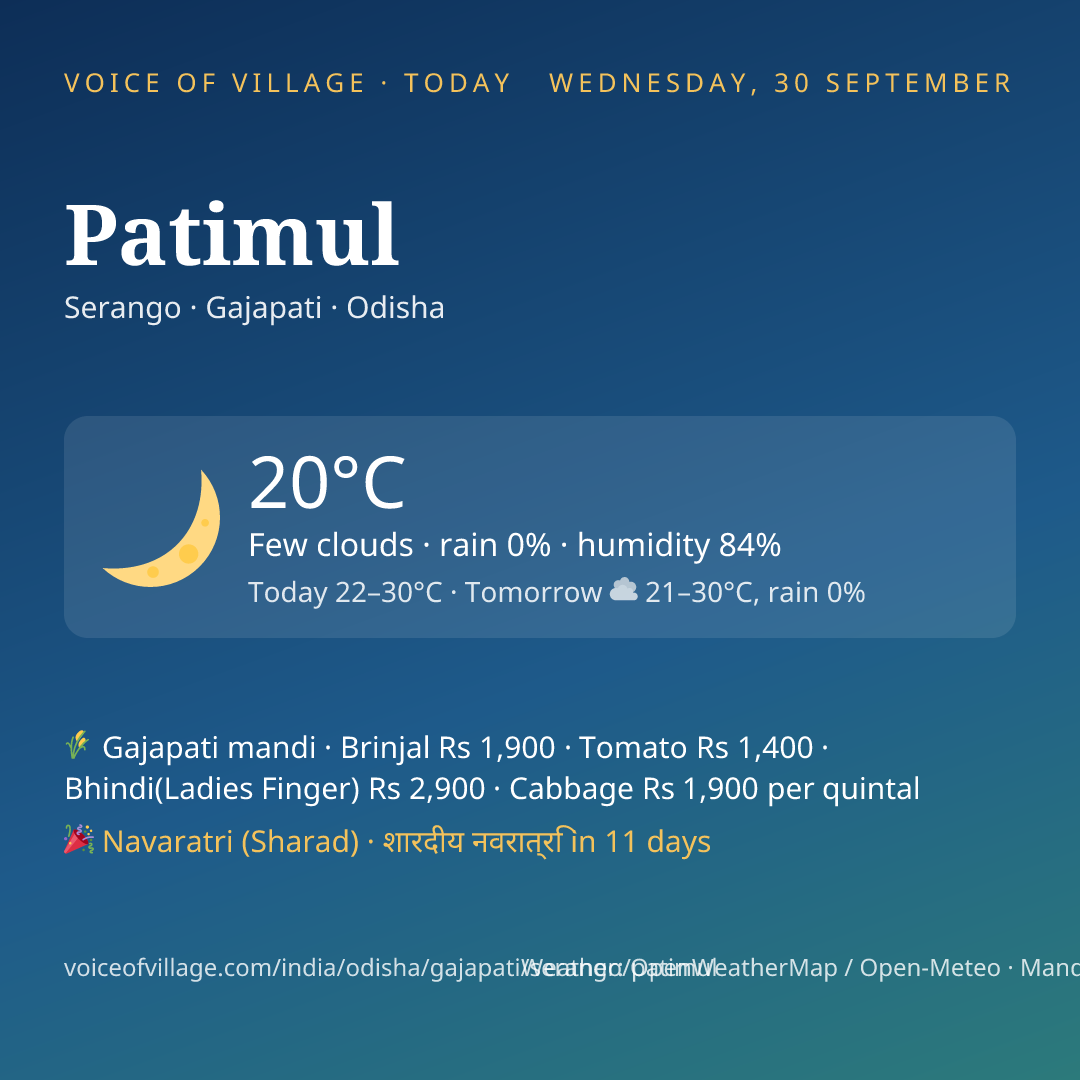 Patimul today