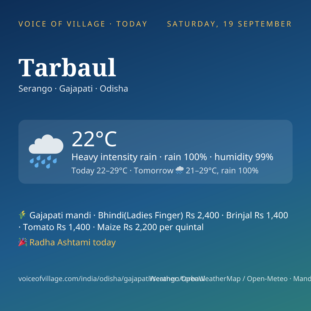 Tarbaul today