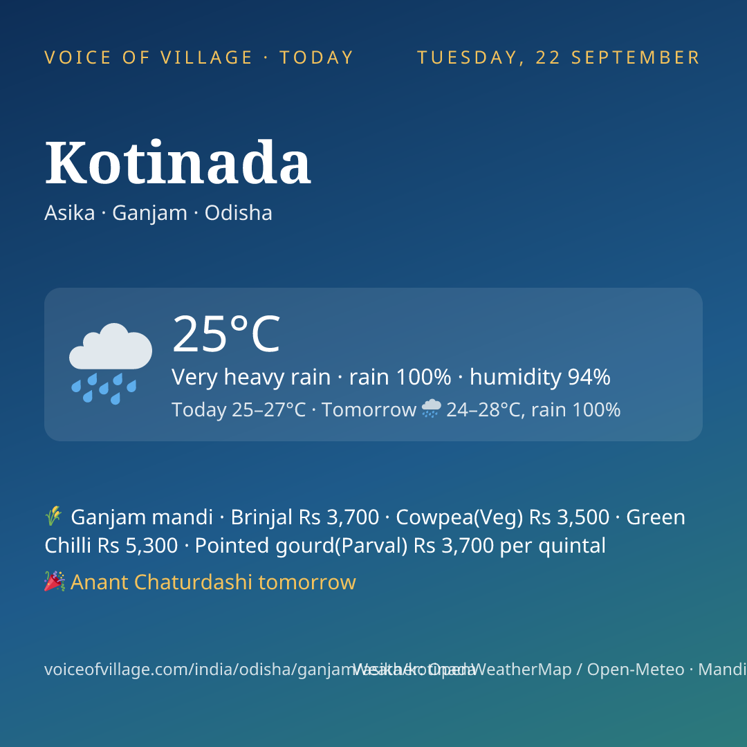 Kotinada today