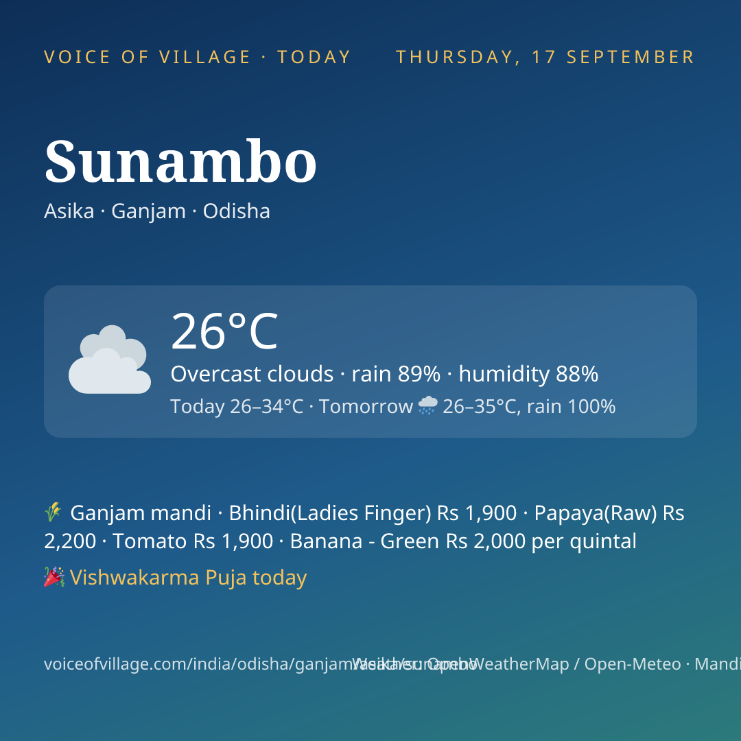 Sunambo today