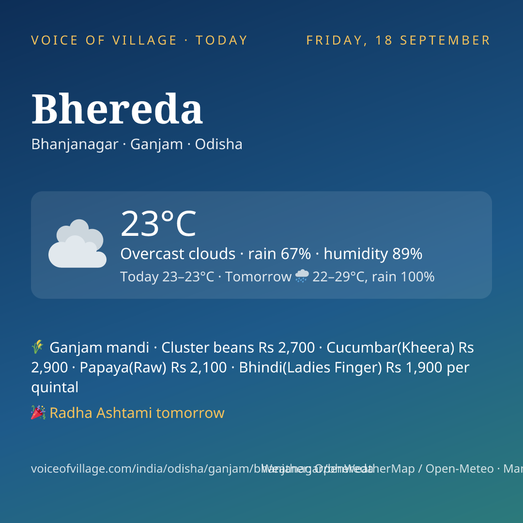 Bhereda today