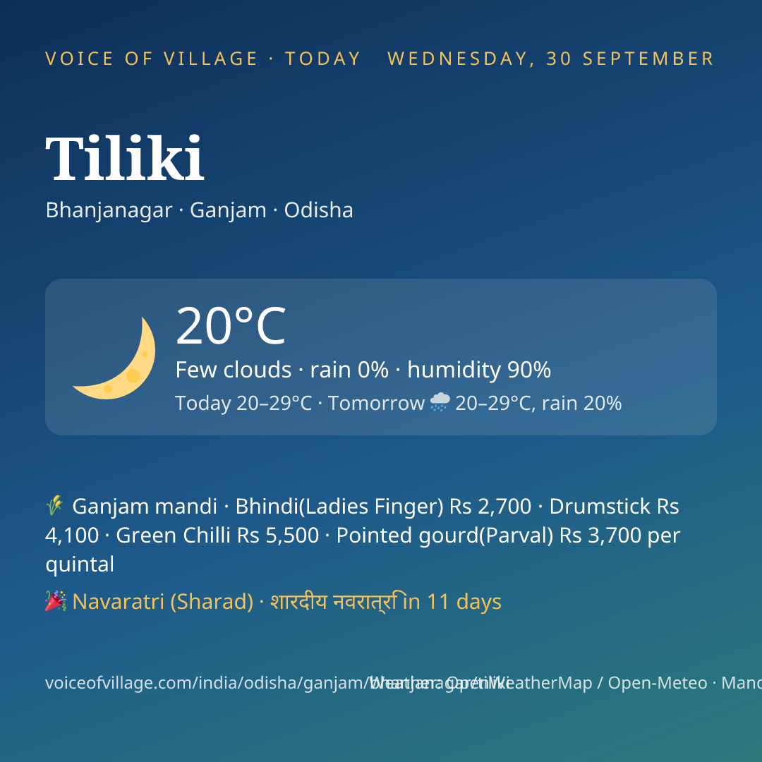 Tiliki today