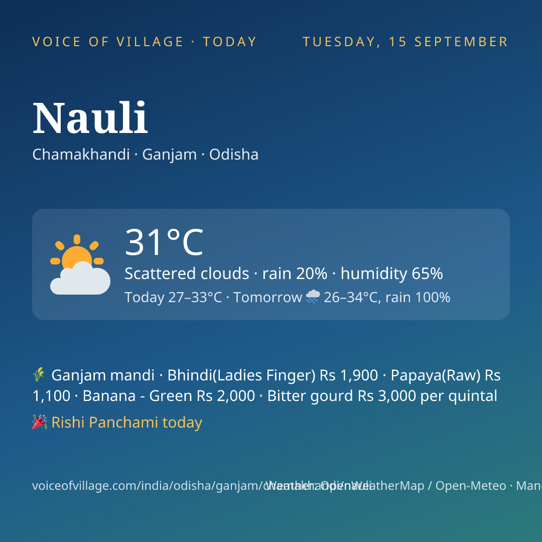 Nauli today