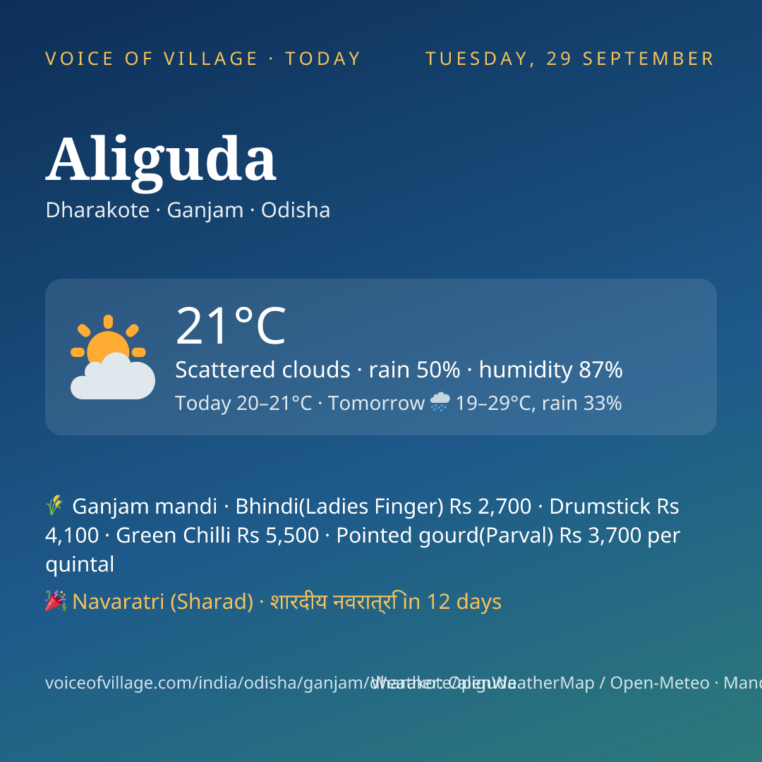 Aliguda today