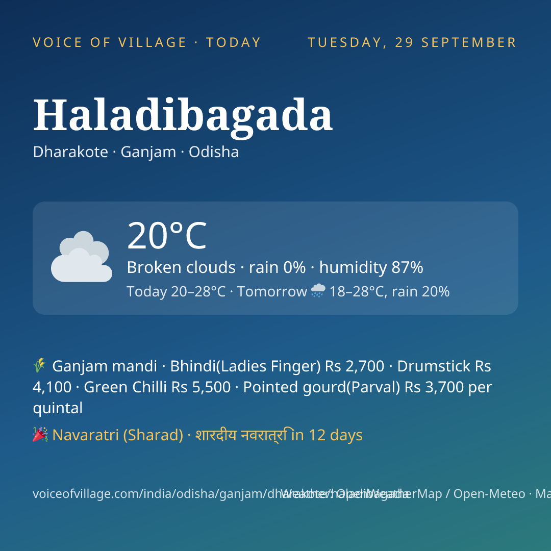 Haladibagada today