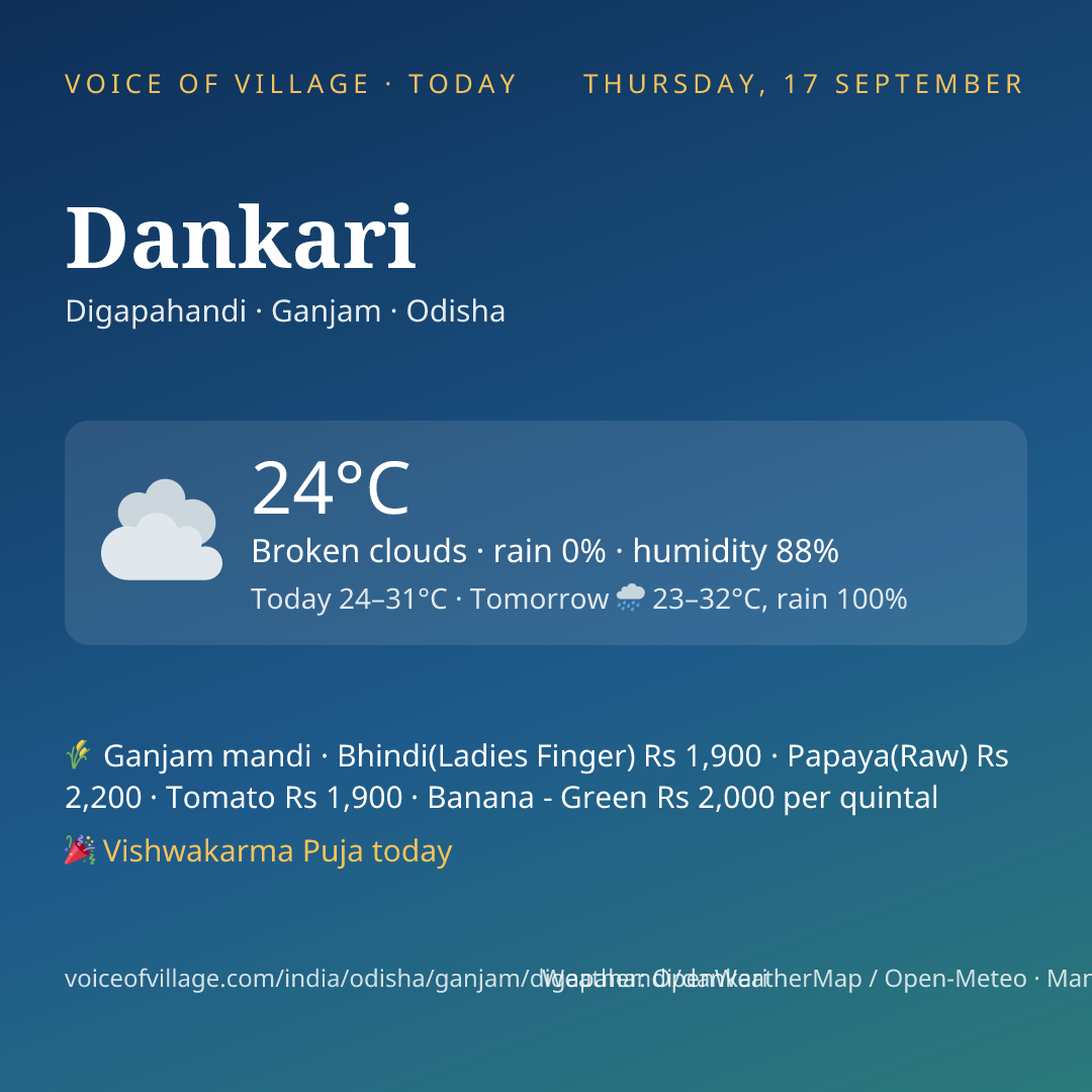 Dankari today