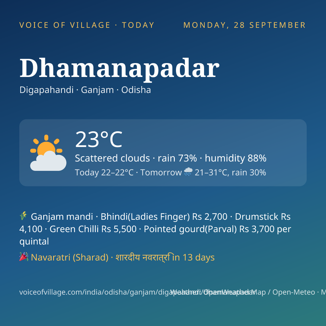 Dhamanapadar today