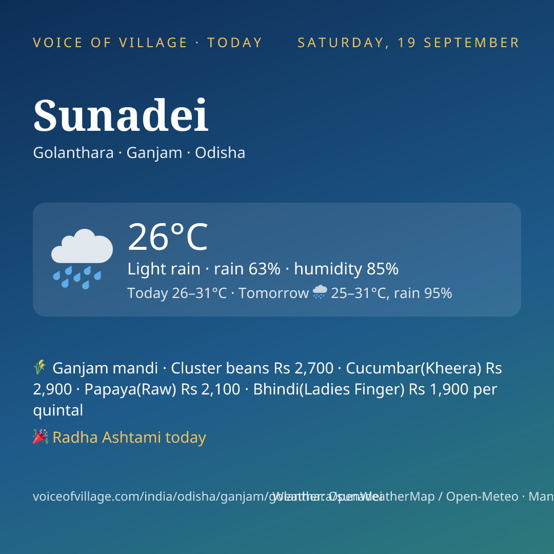 Sunadei today