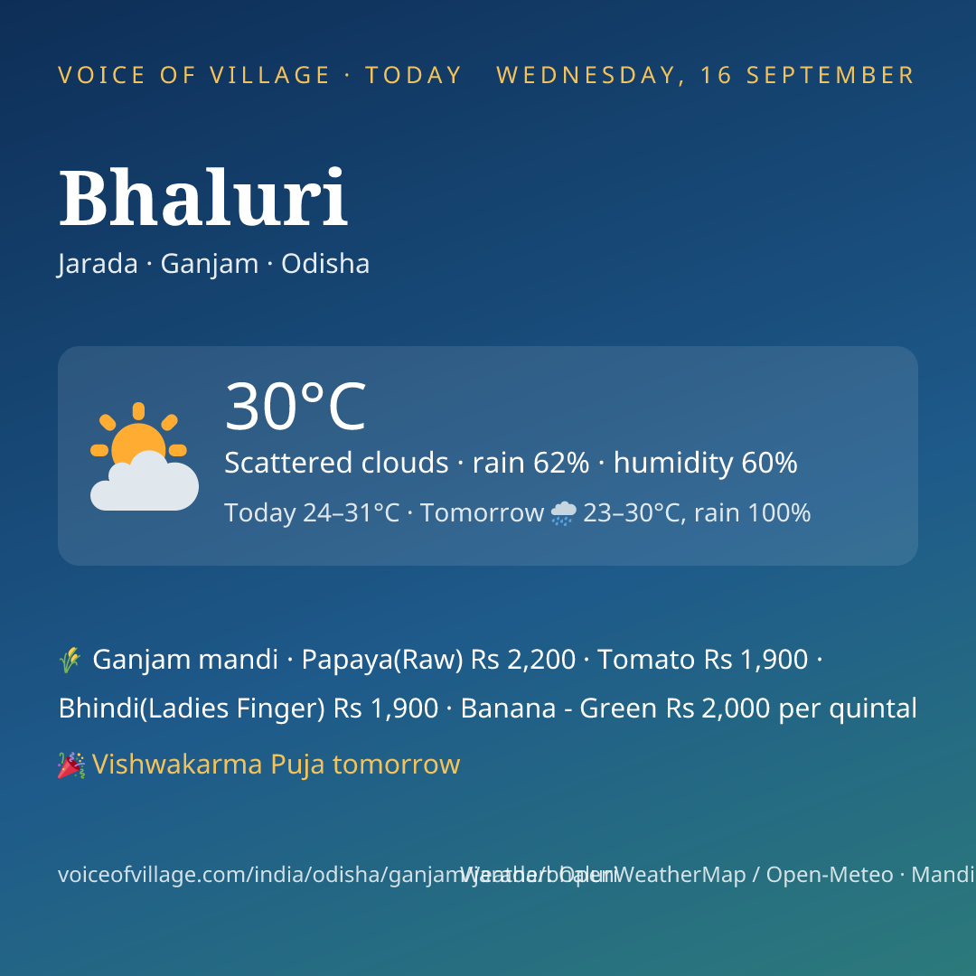 Bhaluri today