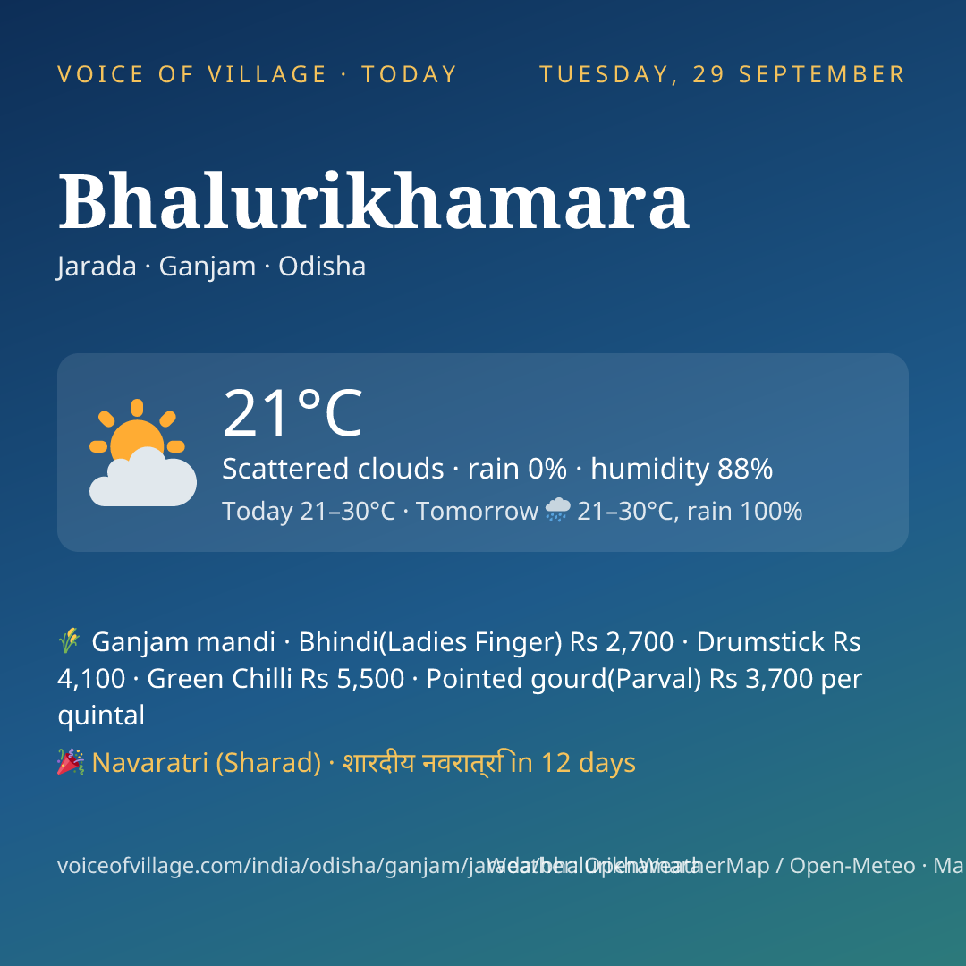 Bhalurikhamara today
