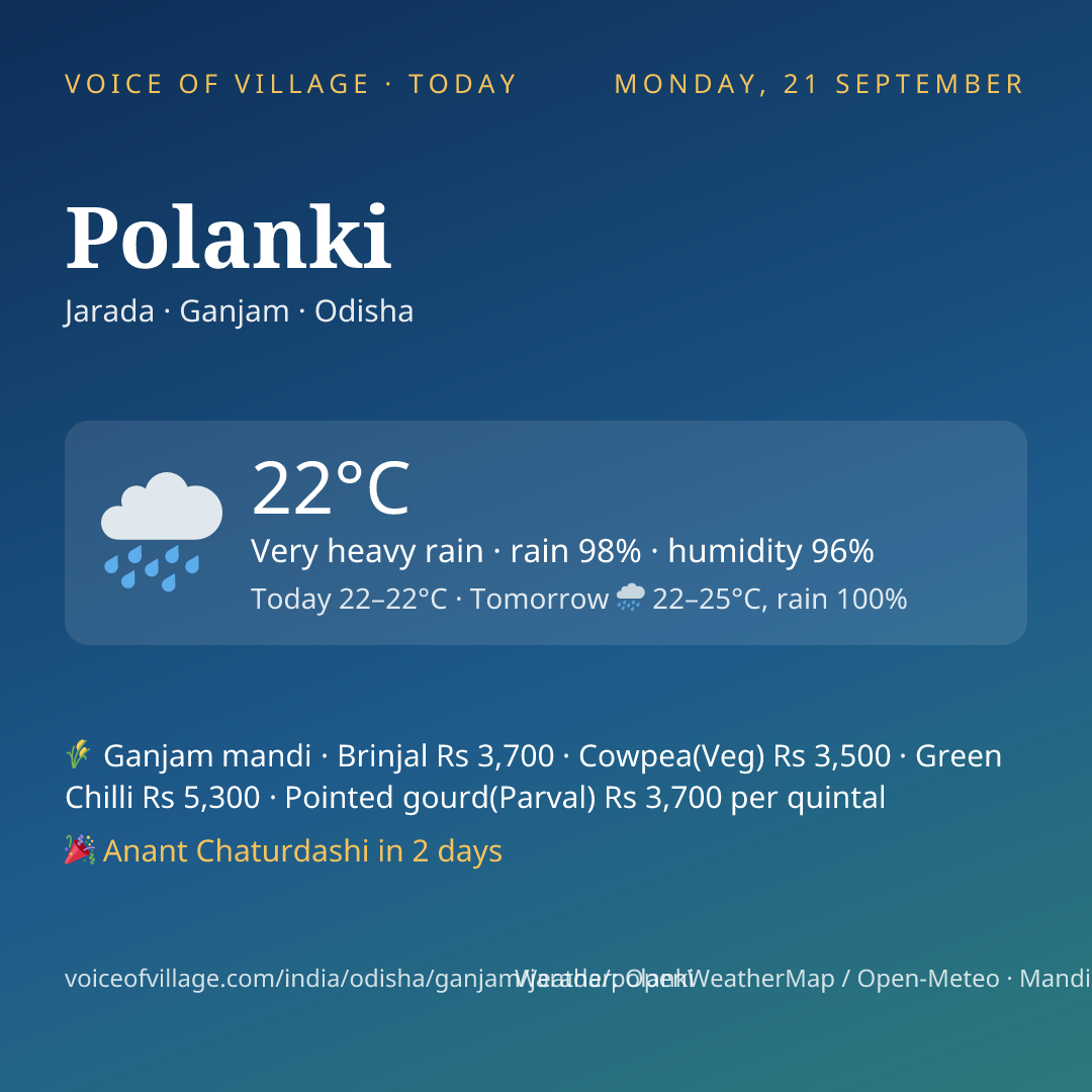 Polanki today