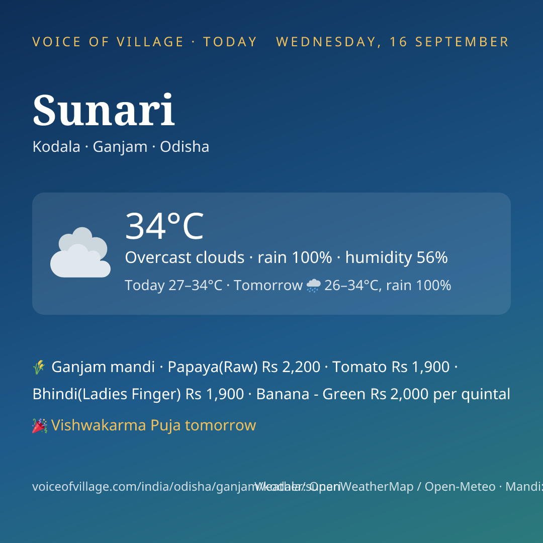 Sunari today