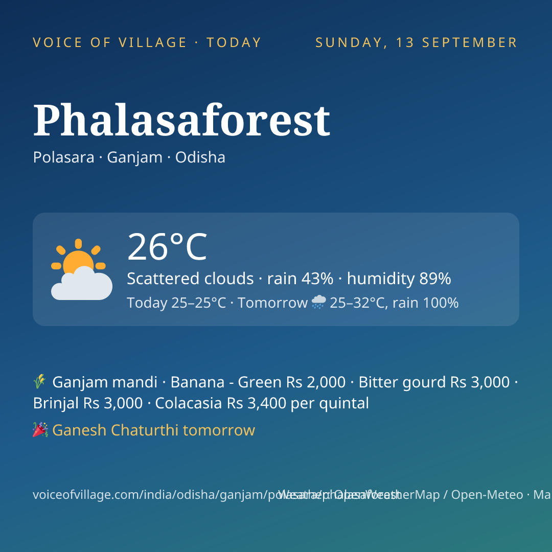 Phalasaforest today