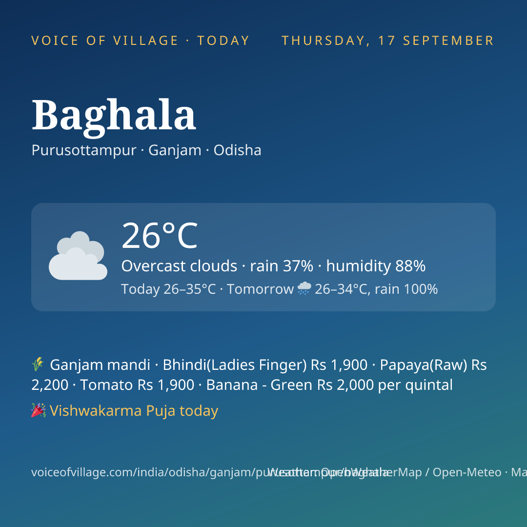 Baghala today