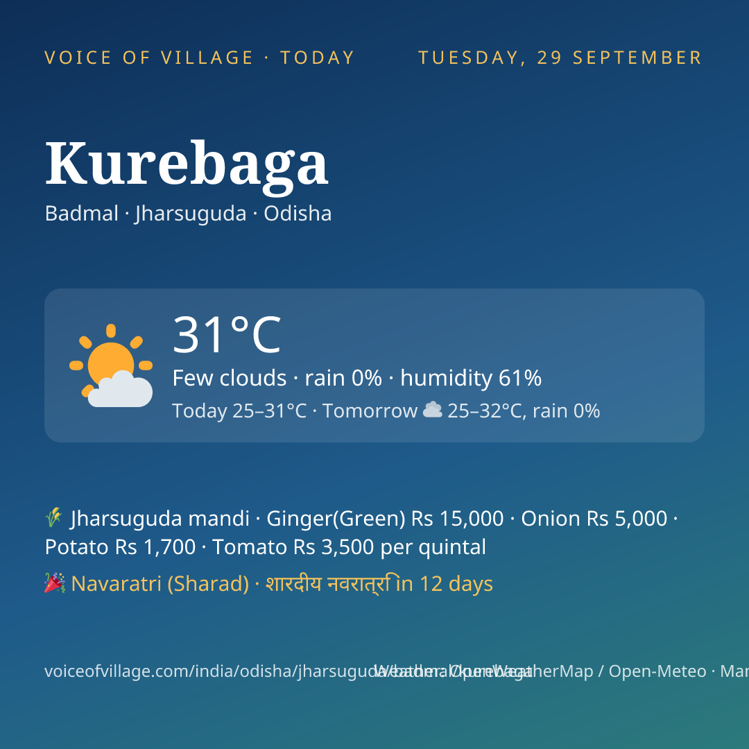 Kurebaga today