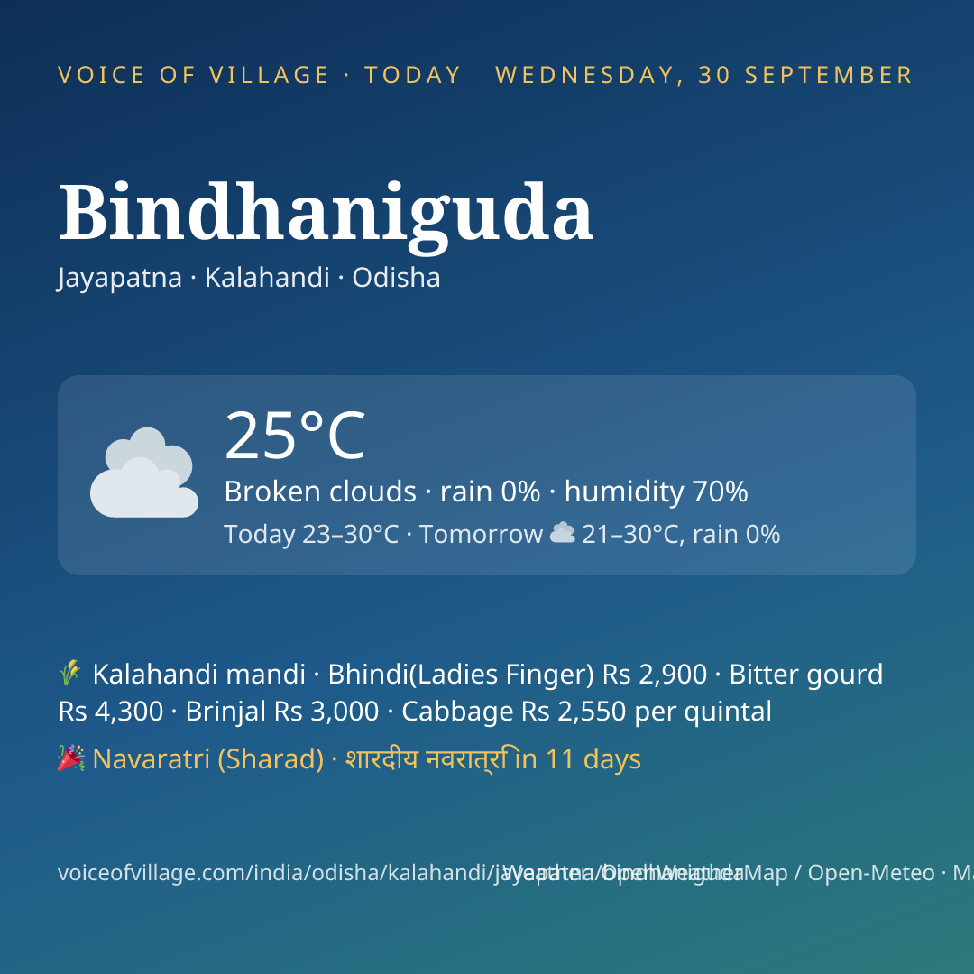 Bindhaniguda today