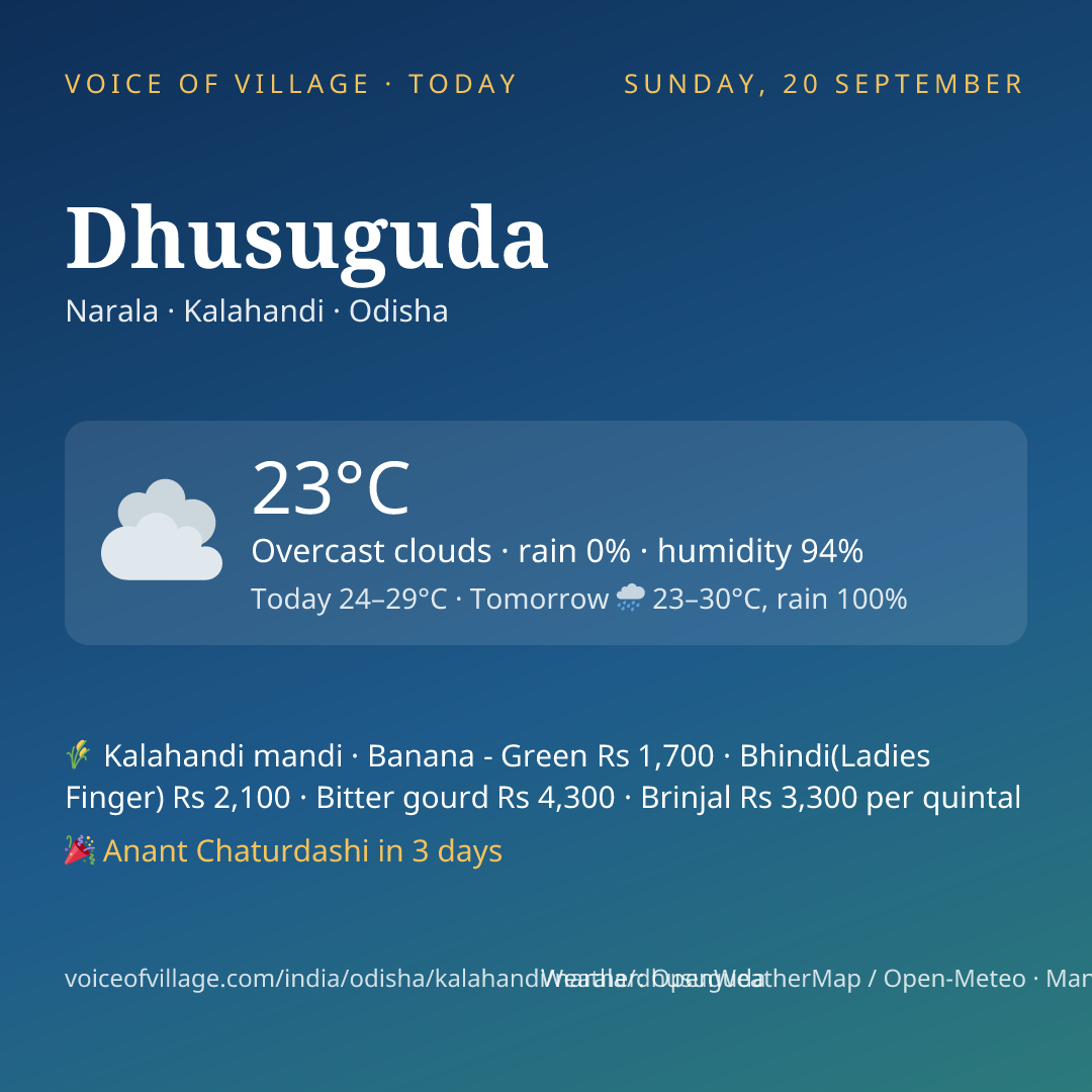 Dhusuguda today