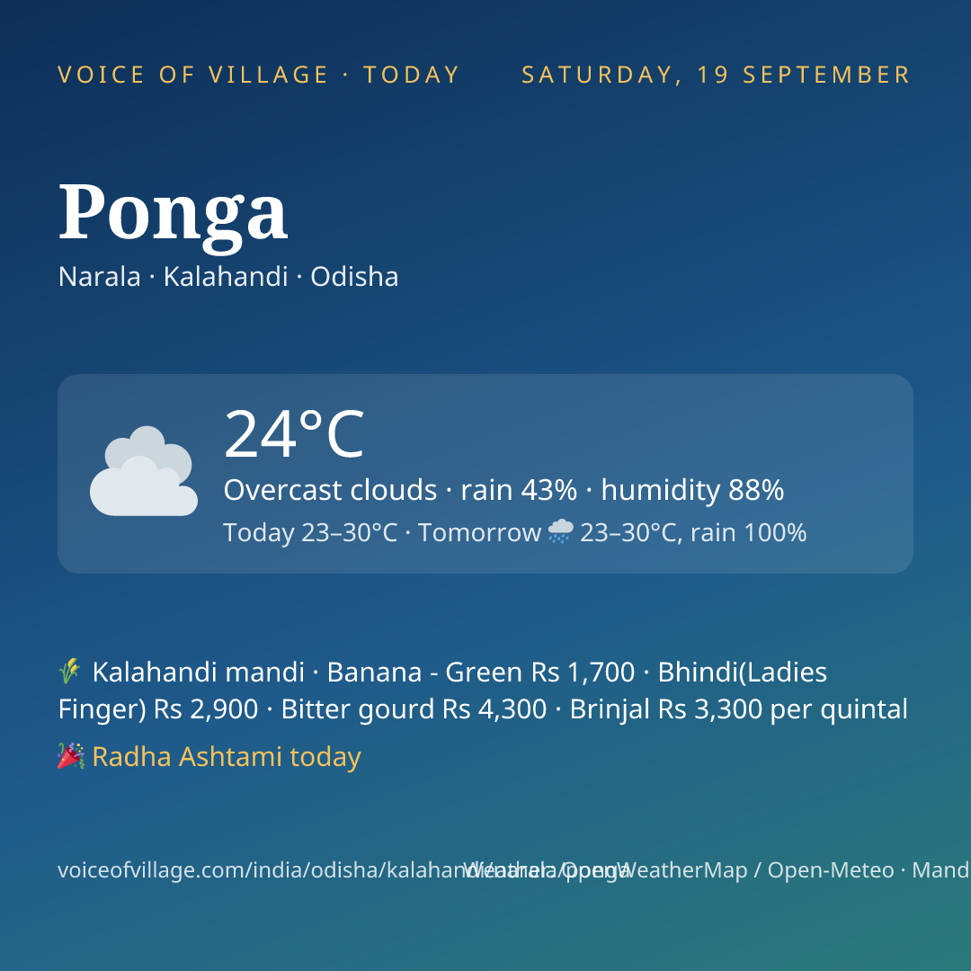 Ponga today