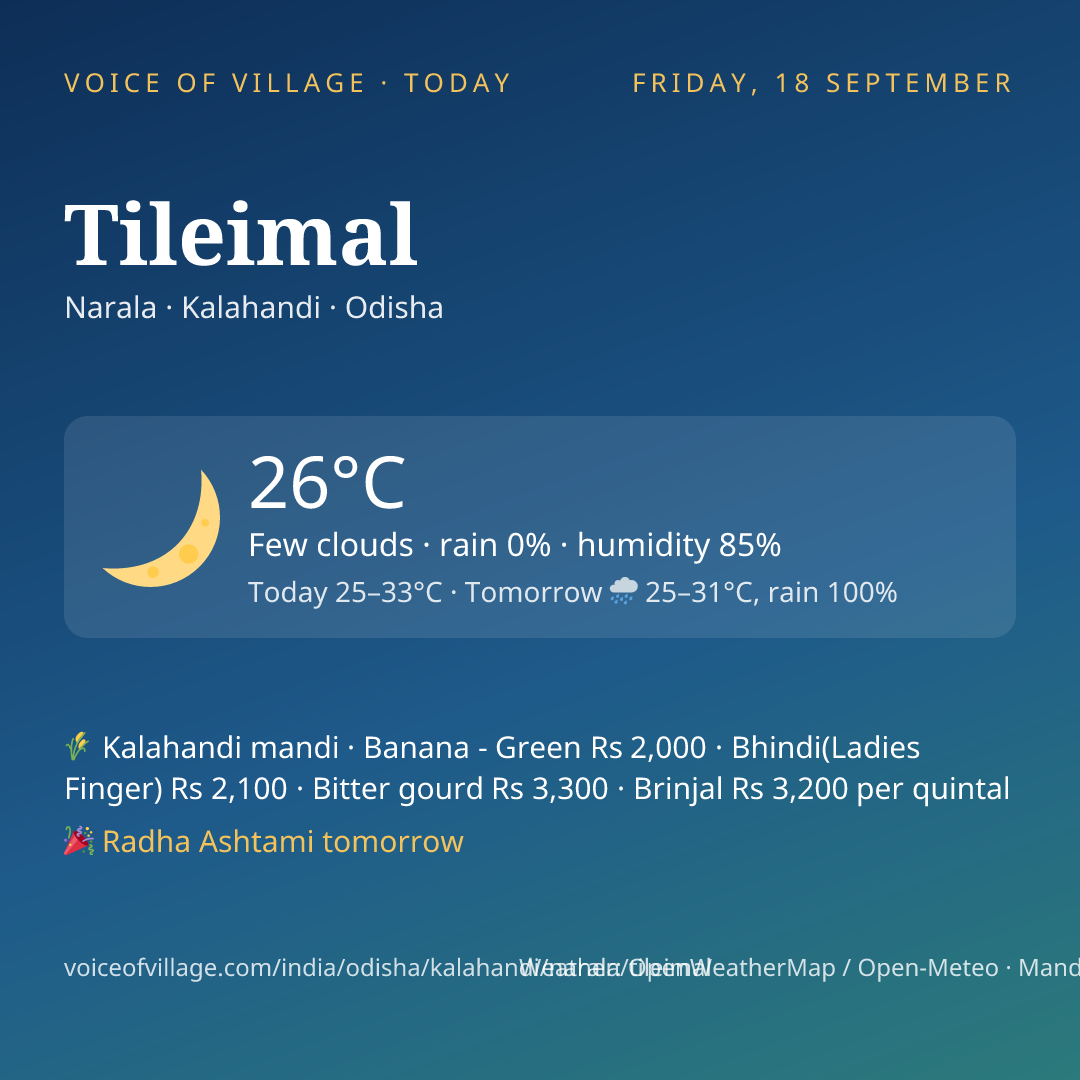 Tileimal today