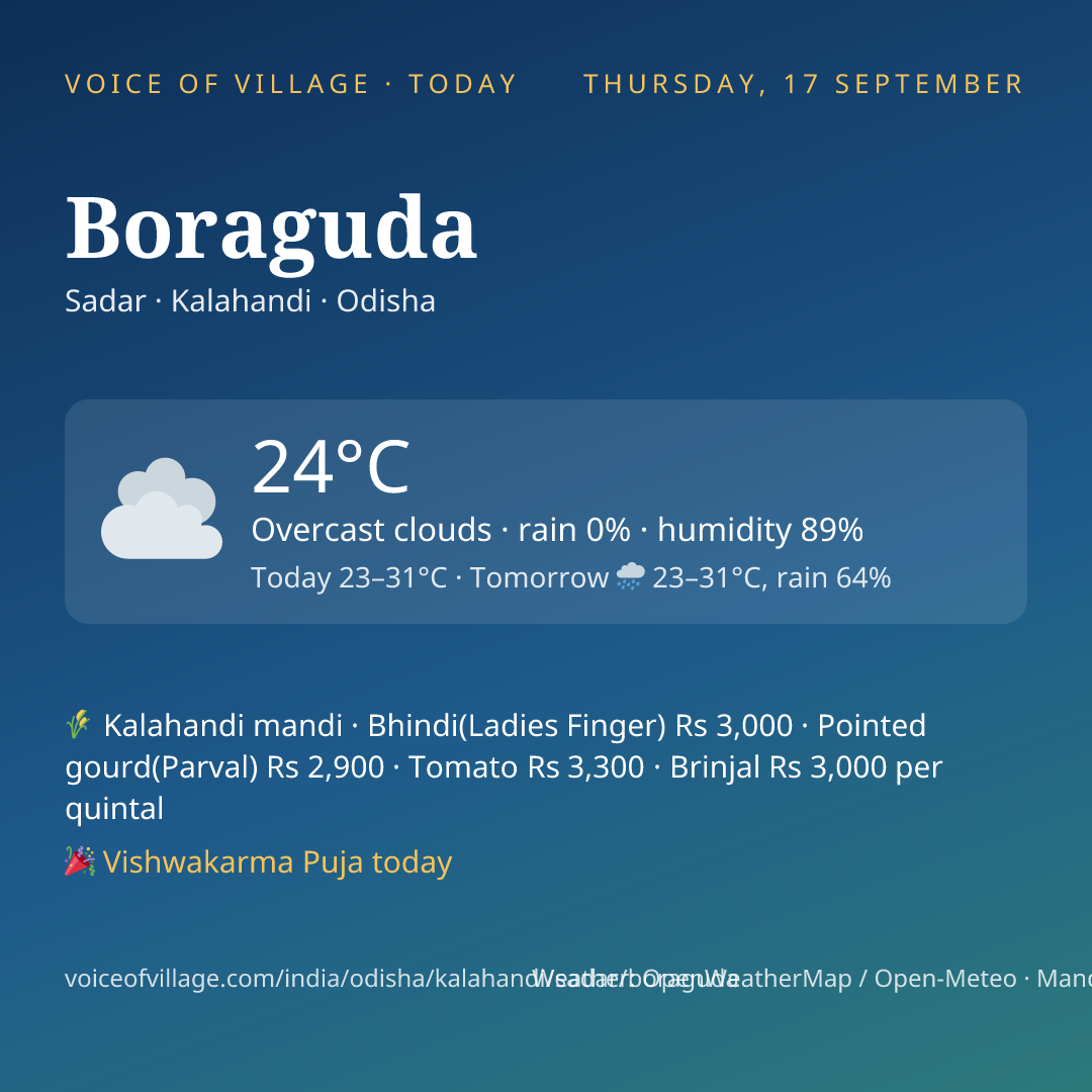 Boraguda today